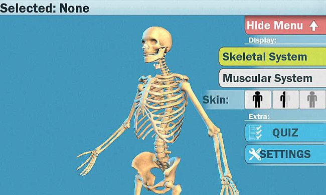 3D人体模型已付费版(EasyAnatomy3D)for Android