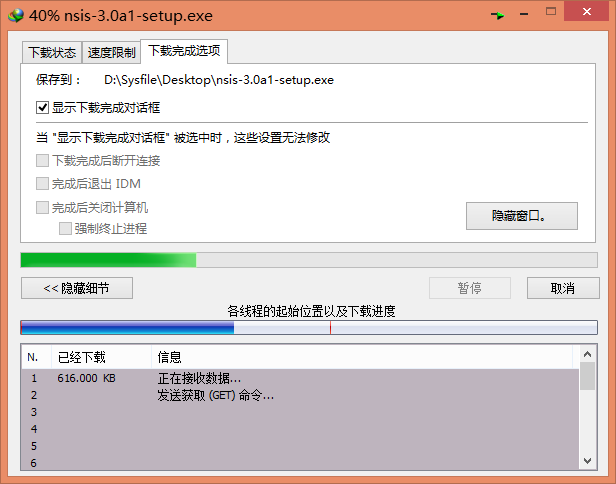 Internet Download Manager(ie下载加速)